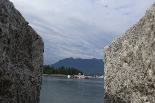 IMG 0747.jpg