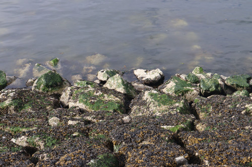 IMG 0749.jpg