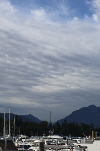 IMG 0805.jpg