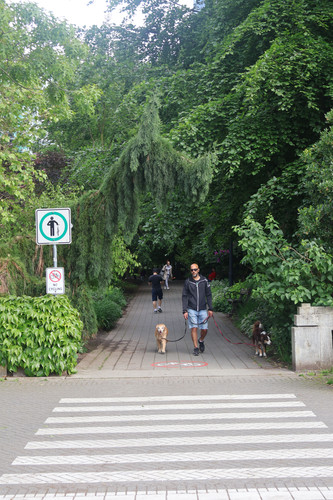 IMG 0794.jpg