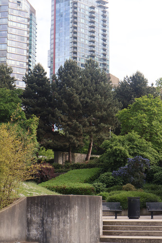 IMG 0801.jpg