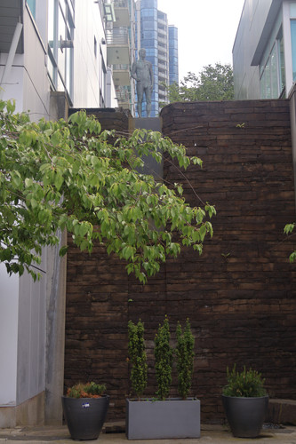 IMG 0811.jpg