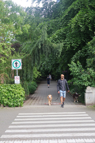 IMG 0795.jpg