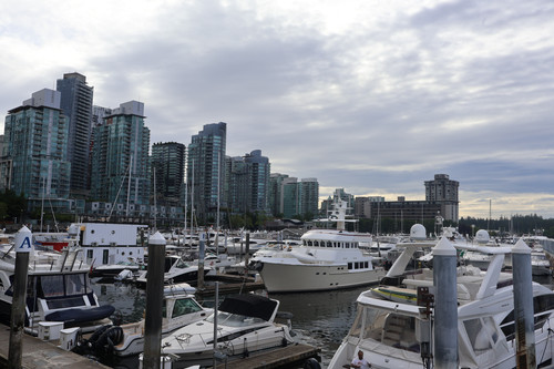 IMG 0788.jpg
