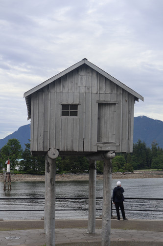 IMG 0869.jpg