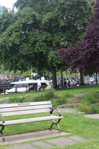 IMG 0824.jpg