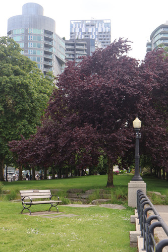 IMG 0823.jpg