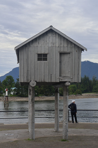 IMG 0871.jpg