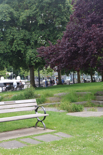 IMG 0825.jpg