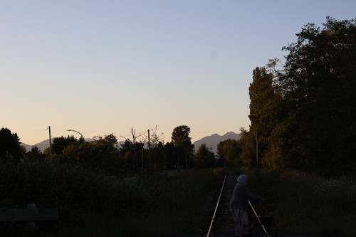 IMG 0294.jpg