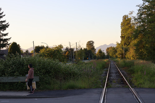 IMG 0299.jpg