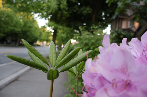 IMG 0336.jpg