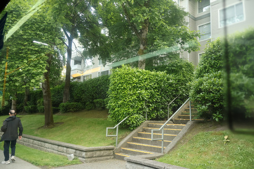 IMG 0971.jpg
