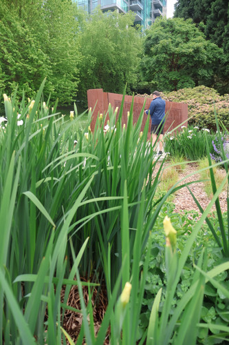 IMG 0886.jpg