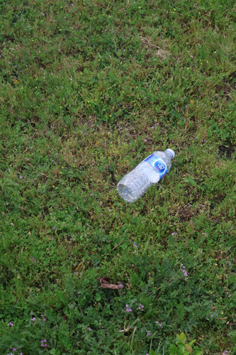 IMG 0997.jpg