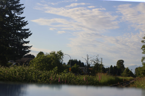 IMG 0449.jpg