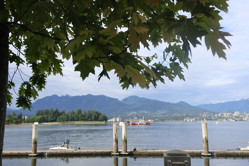 IMG 0769.jpg