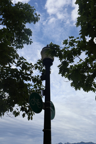 IMG 0771.jpg