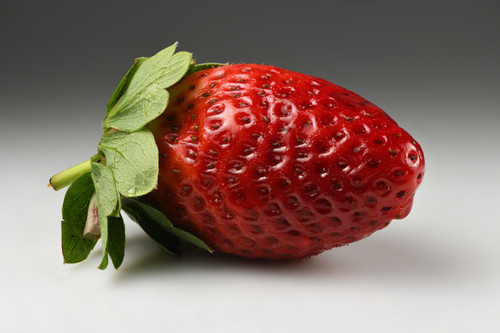 Garden strawberry %28Fragaria %C3%97 ananassa%29 single2.jpg