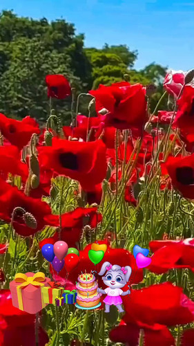 SsDC1YIh8WQIDTMd.jpg
