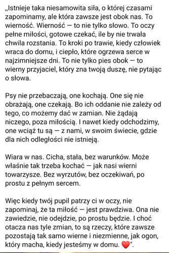 GsntsyAWsAAF zb.jpg
