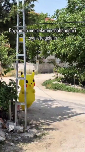 fK9lXfzCeKsWM5K7.jpg