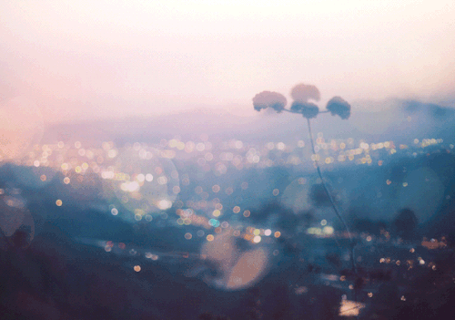 FB37DBDE 17CE 4ED8 A18D 6AD51E38AC82.gif