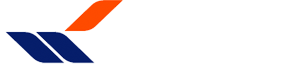 dash logo.png
