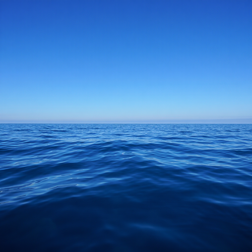 sea.png