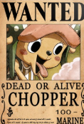 ct7.png