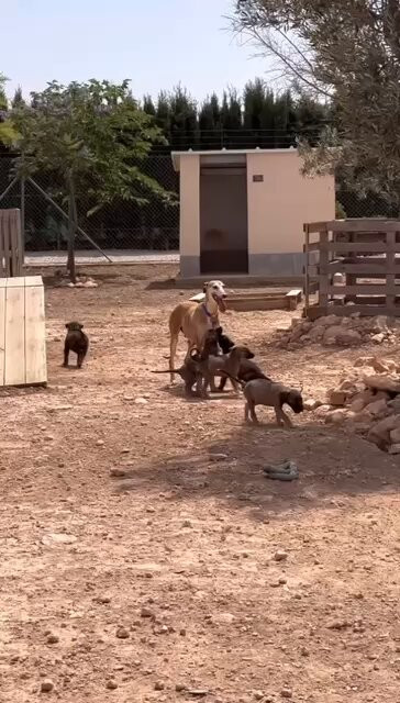 lqgSioJ7qUCVn3sI.jpg