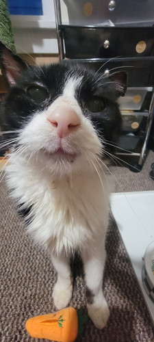 GssuTjyXMAArvw9.jpg
