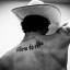 img upload fb1c5d1019.png