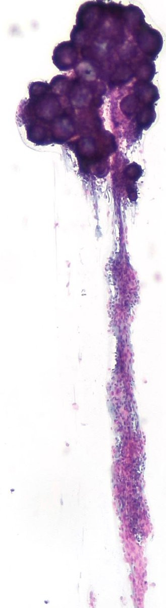 GsxZOdQXcAA4oId.jpg