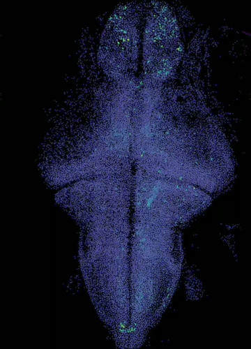 x7lQk882CTDT9 Yz.jpg