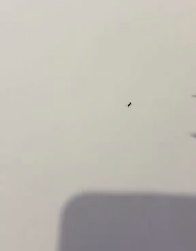 GPSnGim0dL8qNFO6.jpg