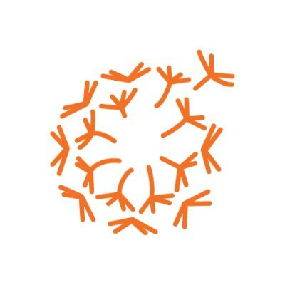 OWFlpdvy 400x400.jpg