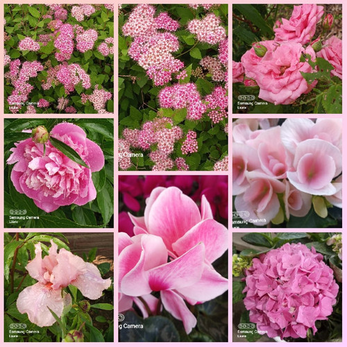 GsuwGKHWUAAdQvl.jpg