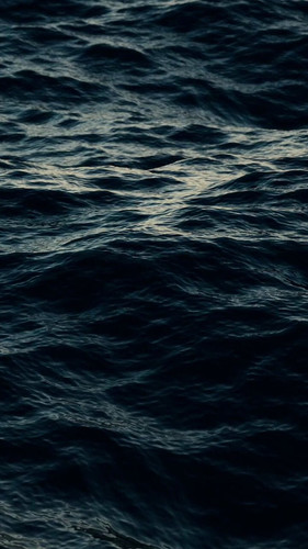 wdJgiCzAWqTqzg6I.jpg