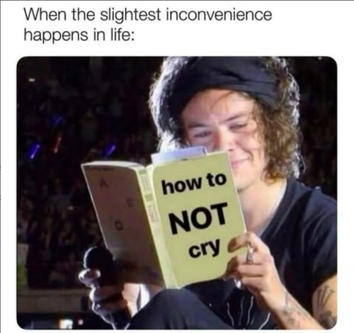 Screenshot 2025 06 06 at 7.41.26 AM.png