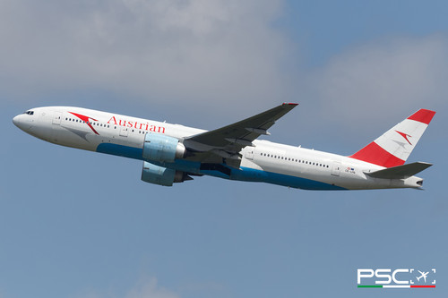 IMG 9161psc.jpg