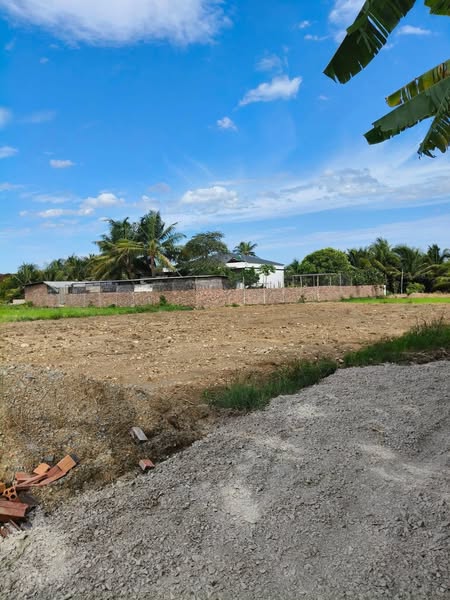 505074921 2059214877878624 6700117271136737112 n.jpg