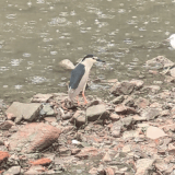 GIF 20250607100404400.gif