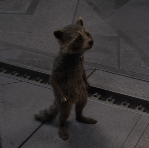 rocket standing up.jpg