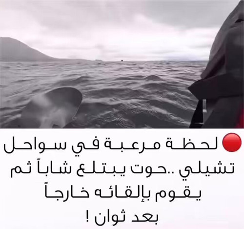 riH7y6SZeKOq1 dn.jpg