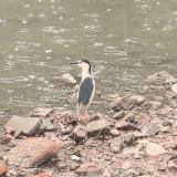 GIF 20250607100305124.gif