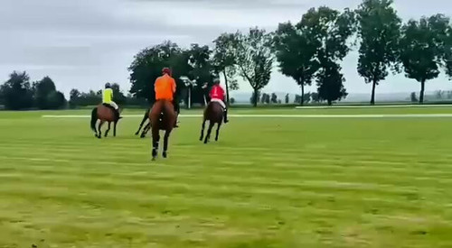 wEIc 5Ns8GGFzccI.jpg