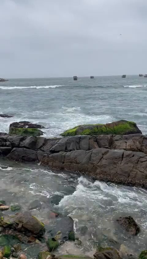 TlVgDYXjCS38 wt .jpg