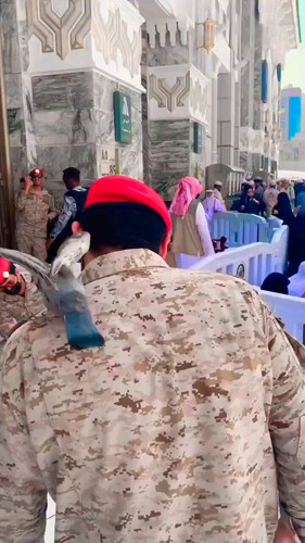 sWClB5C9TC34y Tu.jpg