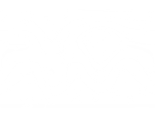 snowflakepattern2.png